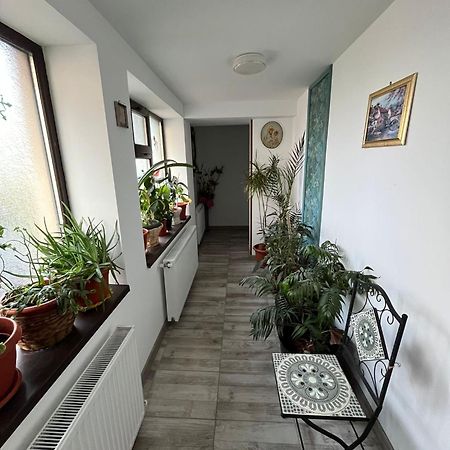 Solaria Budget Studio Galaţi Exteriér fotografie